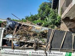  Hayfork, CA Junk Removal Pros